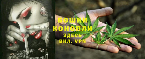 дмт Белокуриха