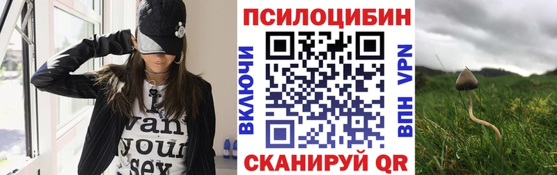 Галлюциногенные грибы мицелий  Красный Кут 